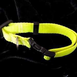 Dog collar, yellow nylon, adjustable